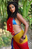 Priyamani Hot Pics